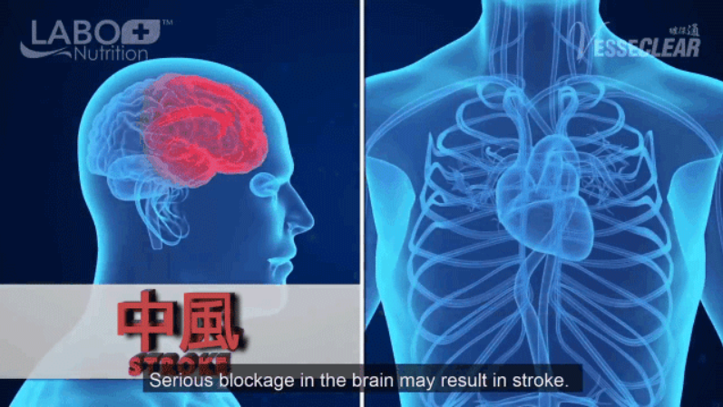 1764239321411038.png image.png