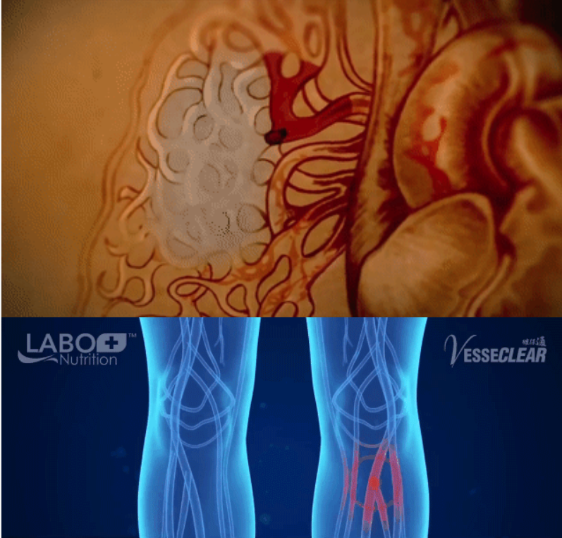 1764239333472932.png image.png