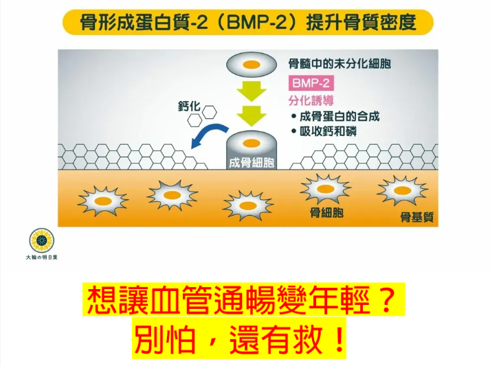 1764239373148291.png image.png