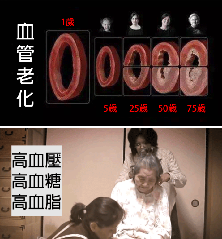 1764239391475068.png image.png