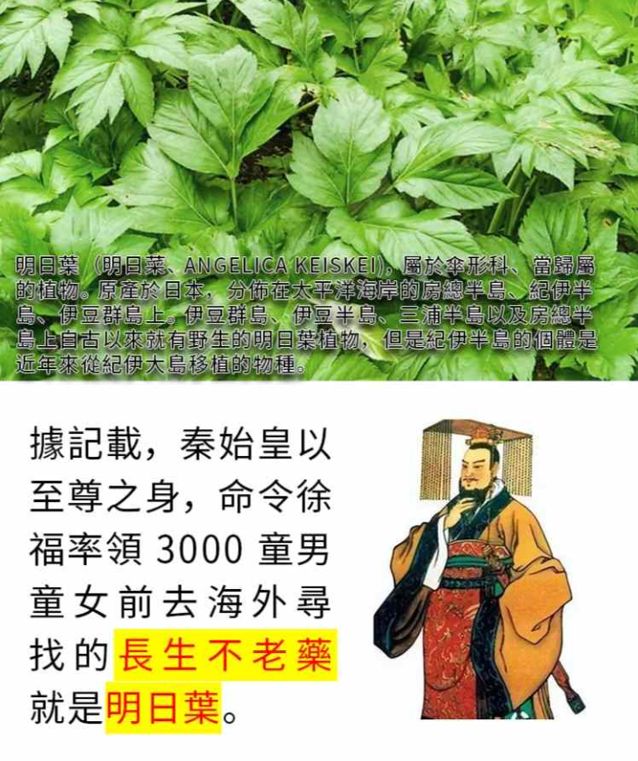 1764239423183572.png image.png