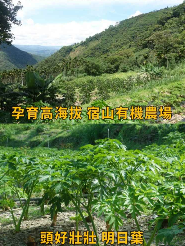 1764239627806342.png image.png