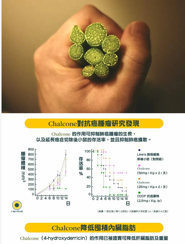 1764239739404095.png image.png