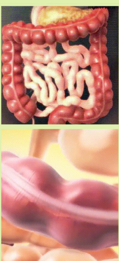 1764240381719130.png image.png